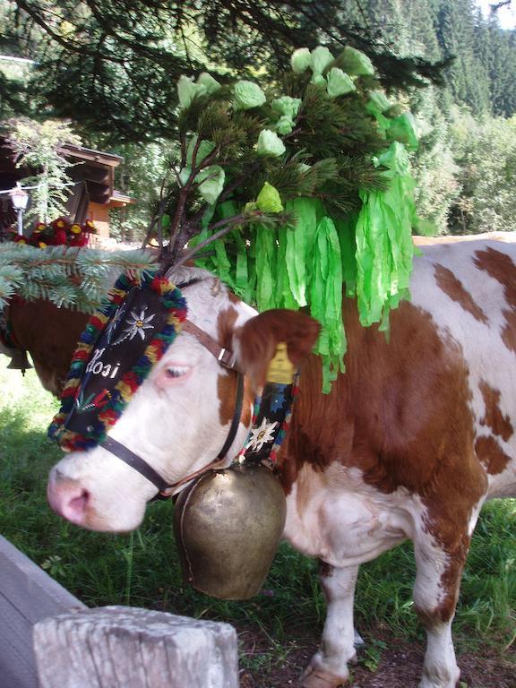 Ferienwohnung Wohlfartstaetter Auffach Bagian luar foto